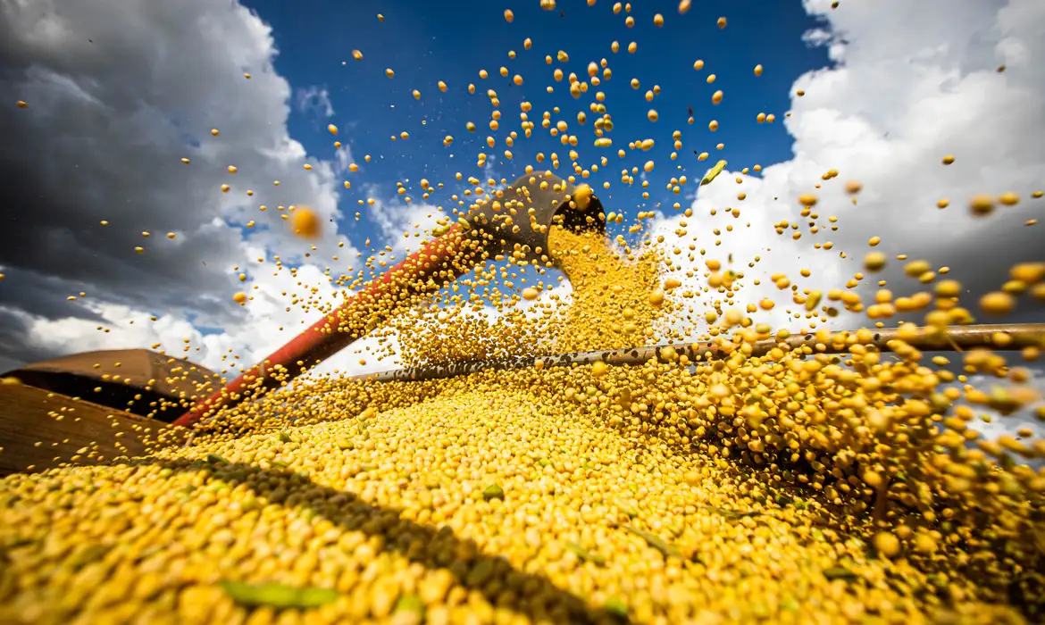 Imagem relacionada à notícia: Produção agrícola brasileira superou R$ 927 bilhões em 2025