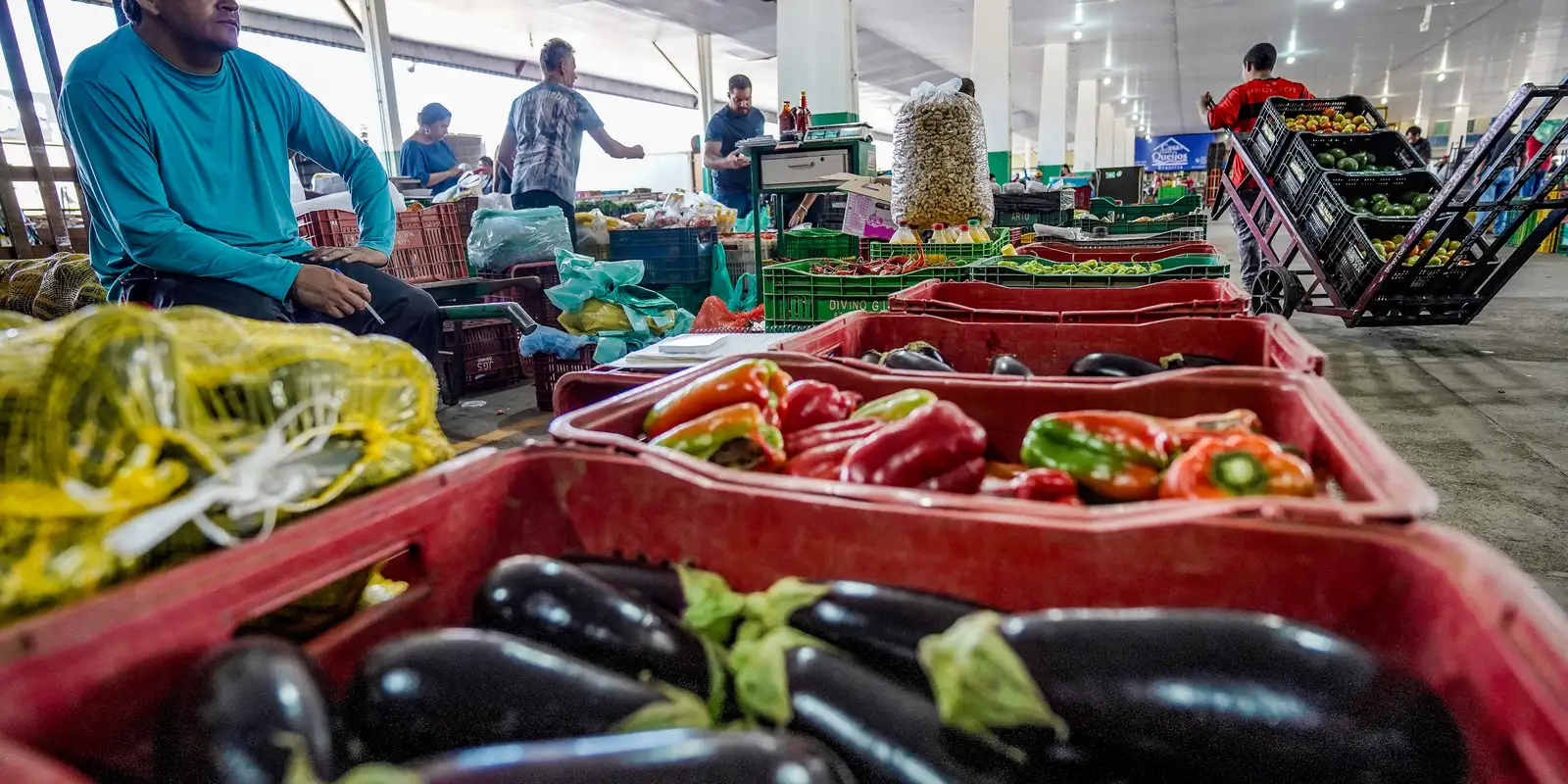 Imagem relacionada à notícia: Campanha busca engajamento para reduzir desperdício de alimento