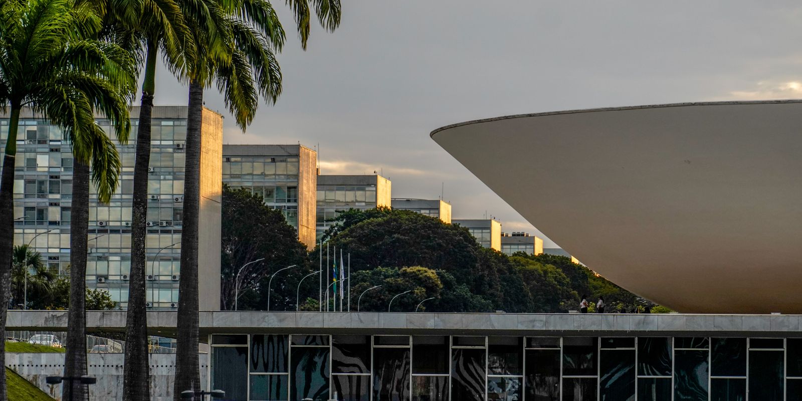 Imagem relacionada à notícia: Nikolas Ferreira e Lucas Pavanato foram os deputados mais votados
