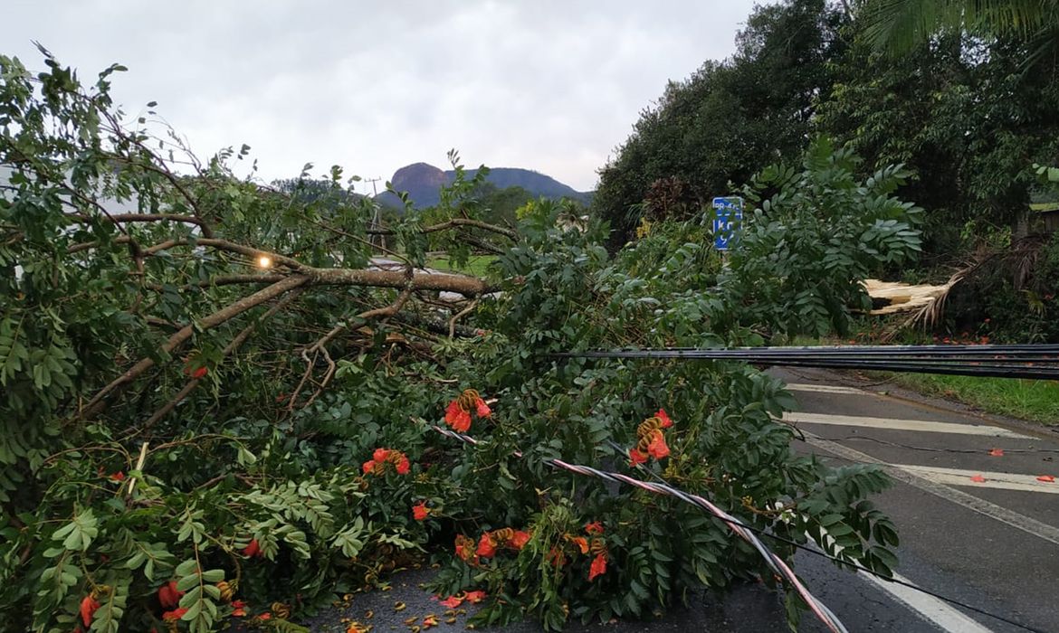Imagem relacionada à notícia: Alerta de tempestade: frente fria amplia instabilidade na Região Sul