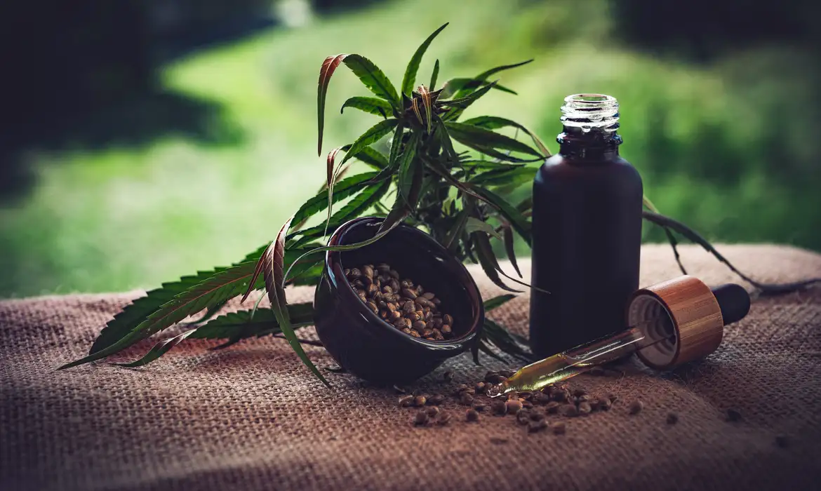 Imagem relacionada à notícia: Para associações, normas ainda deixam pontos em aberto sobre cannabis