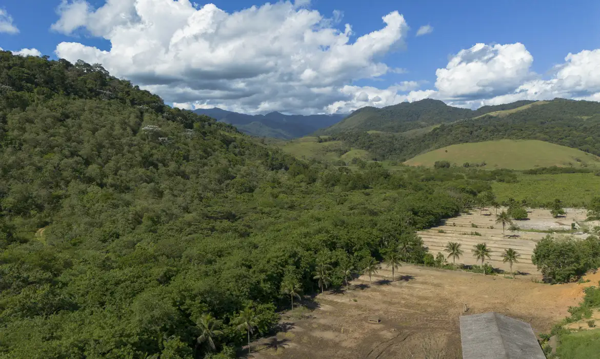 Imagem relacionada à notícia: Agricultura ganha 11 milhões de hectares em 41 anos na Mata Atlântica