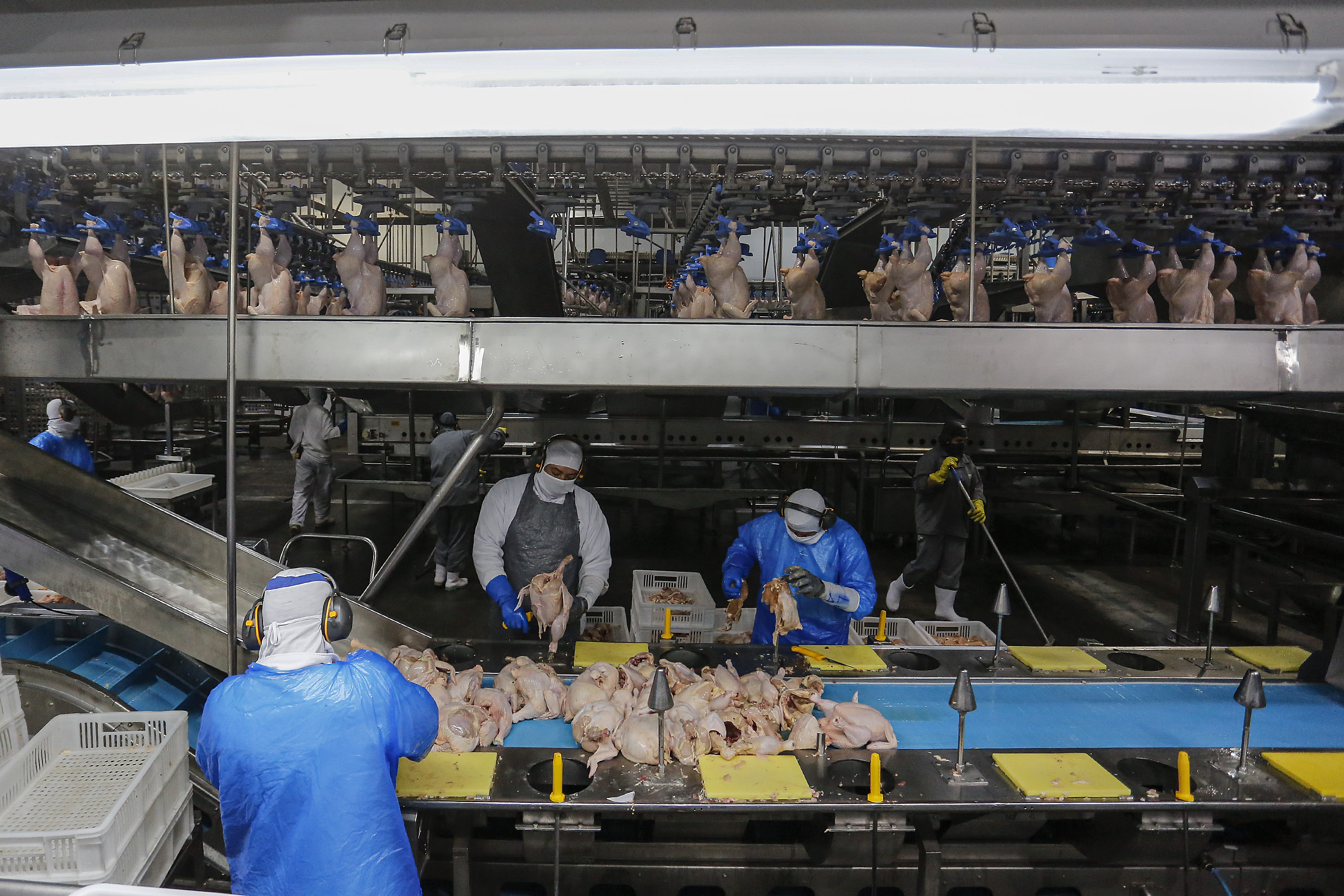 Veto da União Europeia pode causar impacto de US$ 392 milhões na pecuária do Paraná