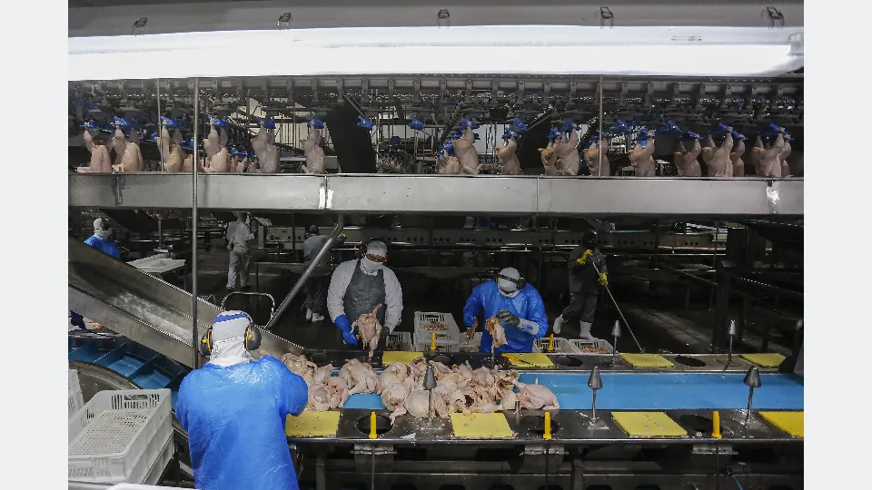 Trabalhadores em indústria de processamento de frango no Paraná.