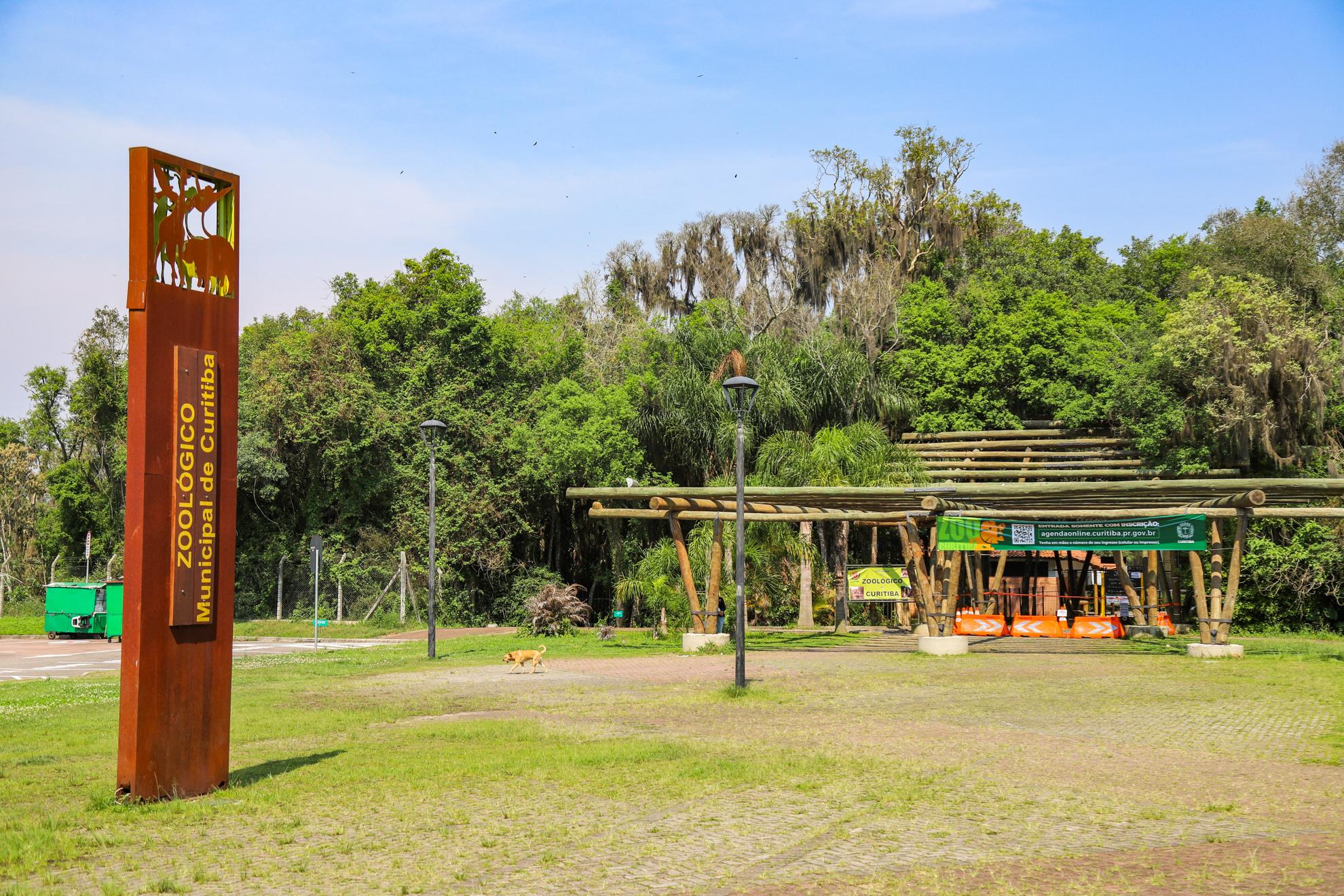 Zoológico de Curitiba reabre neste sábado e funcionará durante todo o feriadão