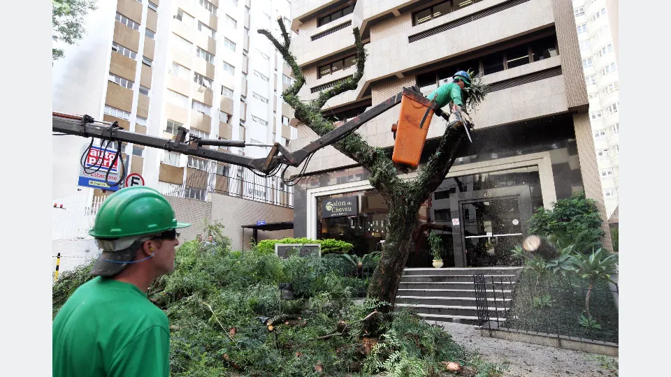 Funcionários da Prefeitura de Curitiba inspecionam árvores na Praça Osório após queda de galho registrada em outubro de 2026.