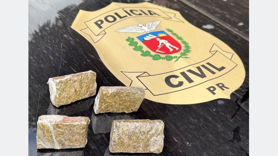 Quatro porções de substância vegetal embaladas em plástico transparente, dispostas sobre superfície escura ao lado do brasão da Polícia Civil do Paraná.