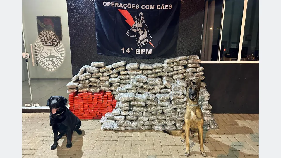 Cães policiais e fardos de drogas apresentados em registro oficial do 14º Batalhão da Polícia Militar do Paraná, na região Oeste do estado.