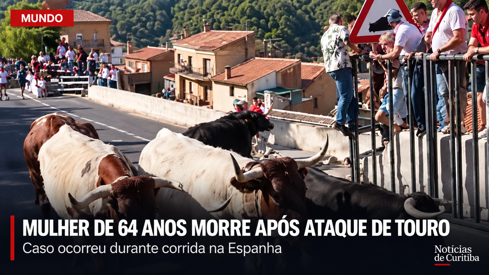 Touros durante encierro em Ayna, na Espanha, onde mulher de 64 anos morreu após ser atingida por um animal.