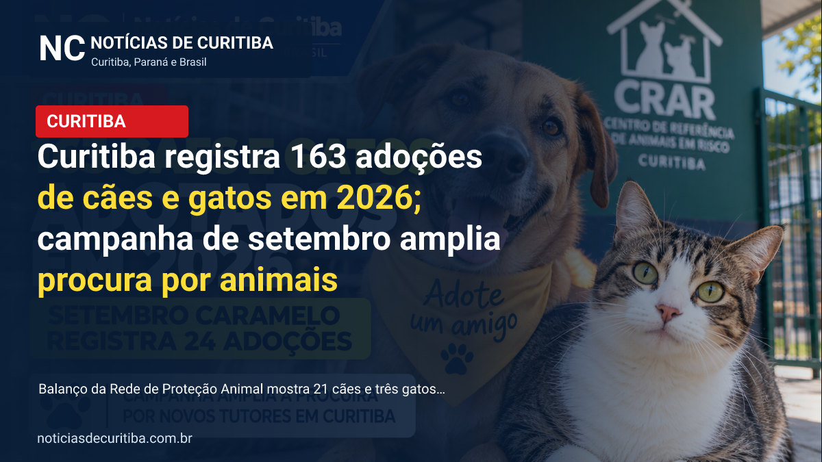 Curitiba registra 163 adoções de cães e gatos em 2026; campanha de setembro amplia procura por animais
