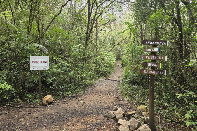 Imagem relacionada à reportagem IAT divulga novo horário de funcionamento do Parque Estadual da Serra da Baitaca