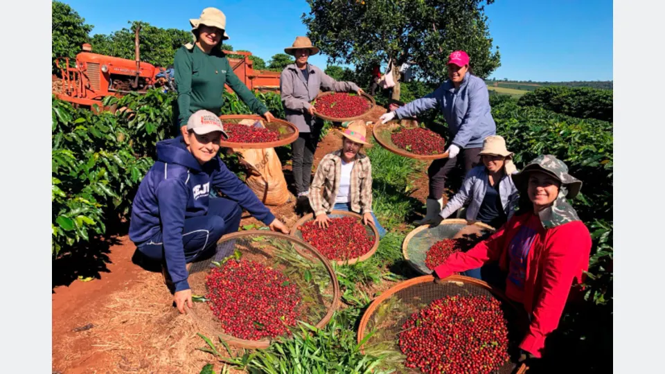 Imagem relacionada à reportagem Feira da Agroindústria Familiar reúne produtores e valoriza protagonismo das mulheres rurais