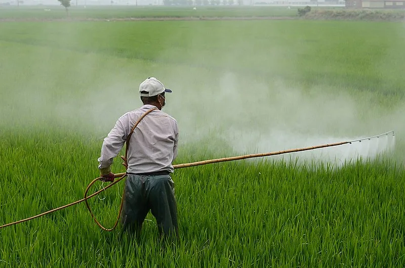 O que propõem candidatos ao governo do RS — Agroecologia, agrotóxicos e agronegócio