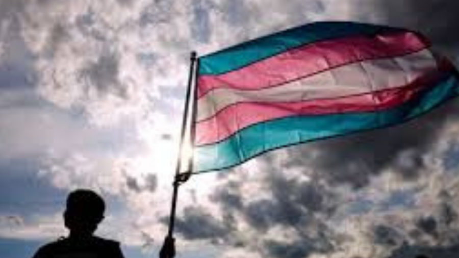 AGU garante cota para aluno trans em universidade do Rio Grande do Sul