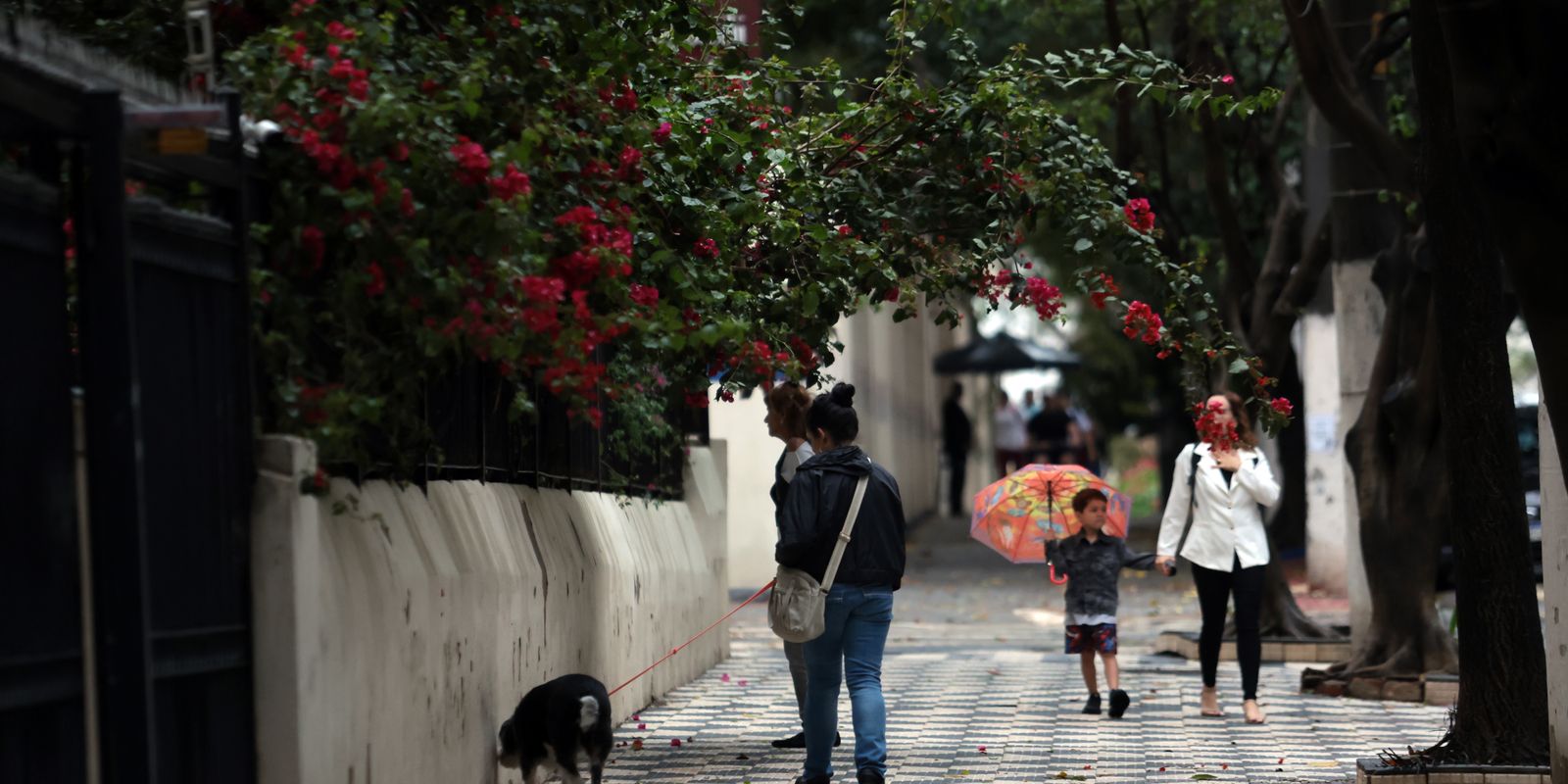 Chuva forte atinge 15 estados e DF entra em alerta de tempestade