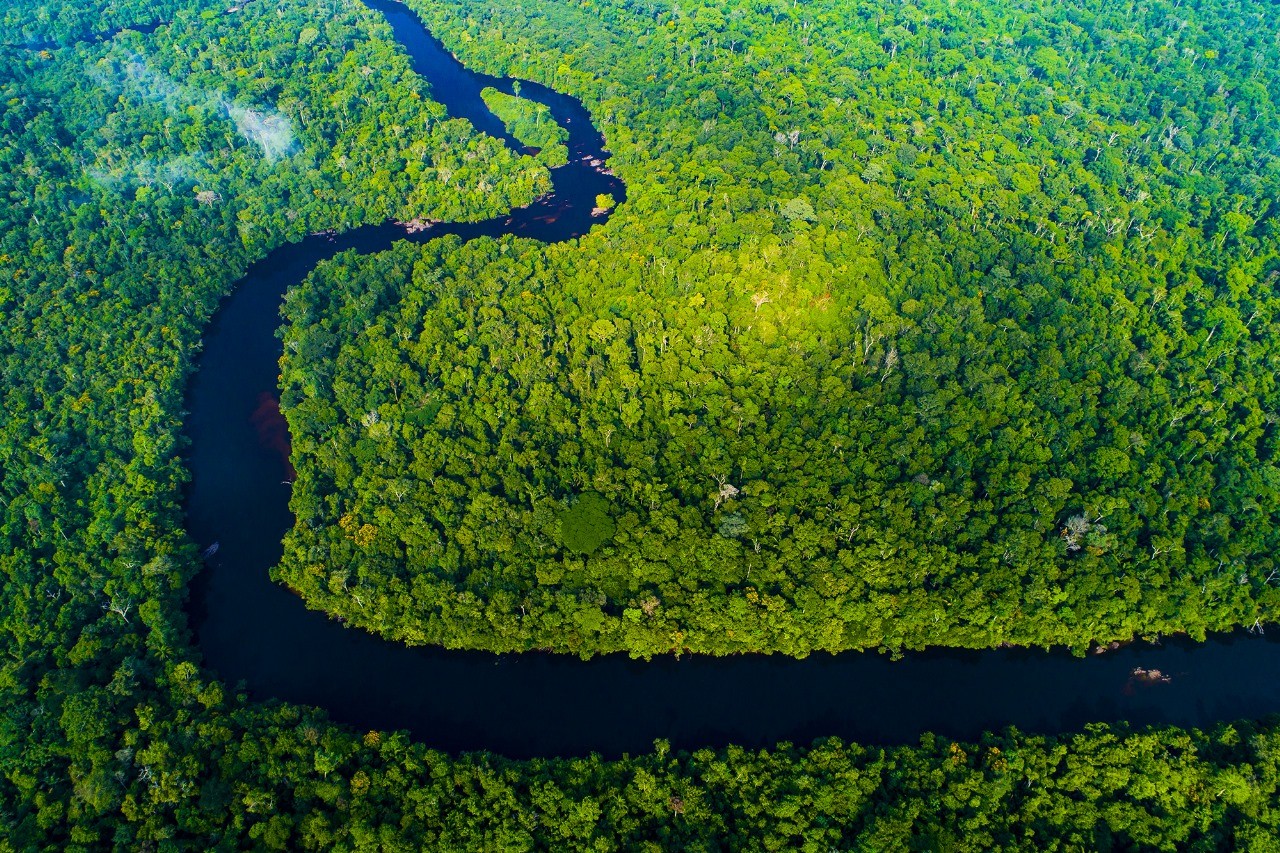 Decisão judicial reforça proteção ambiental