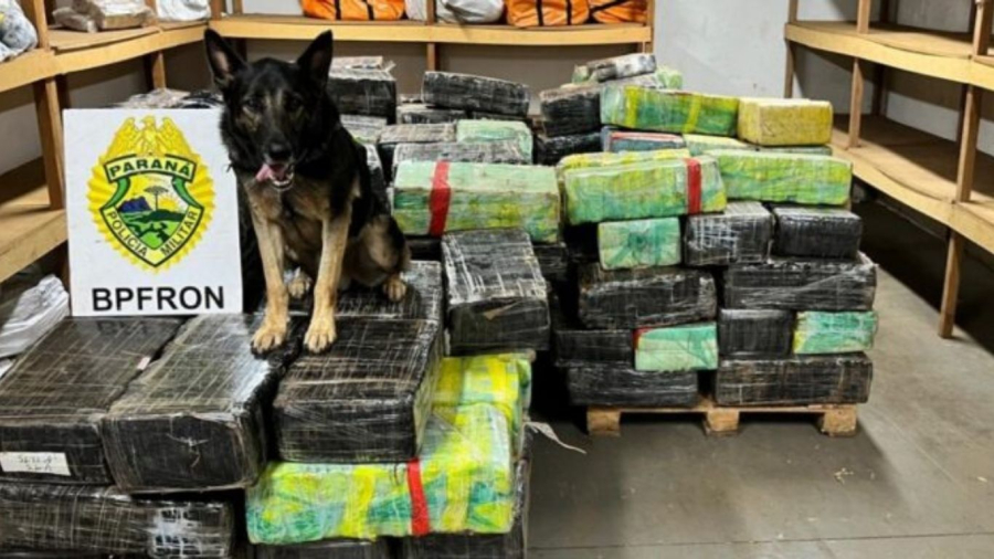 BPFRON apreende mais de 3 toneladas de drogas em Santa Helena