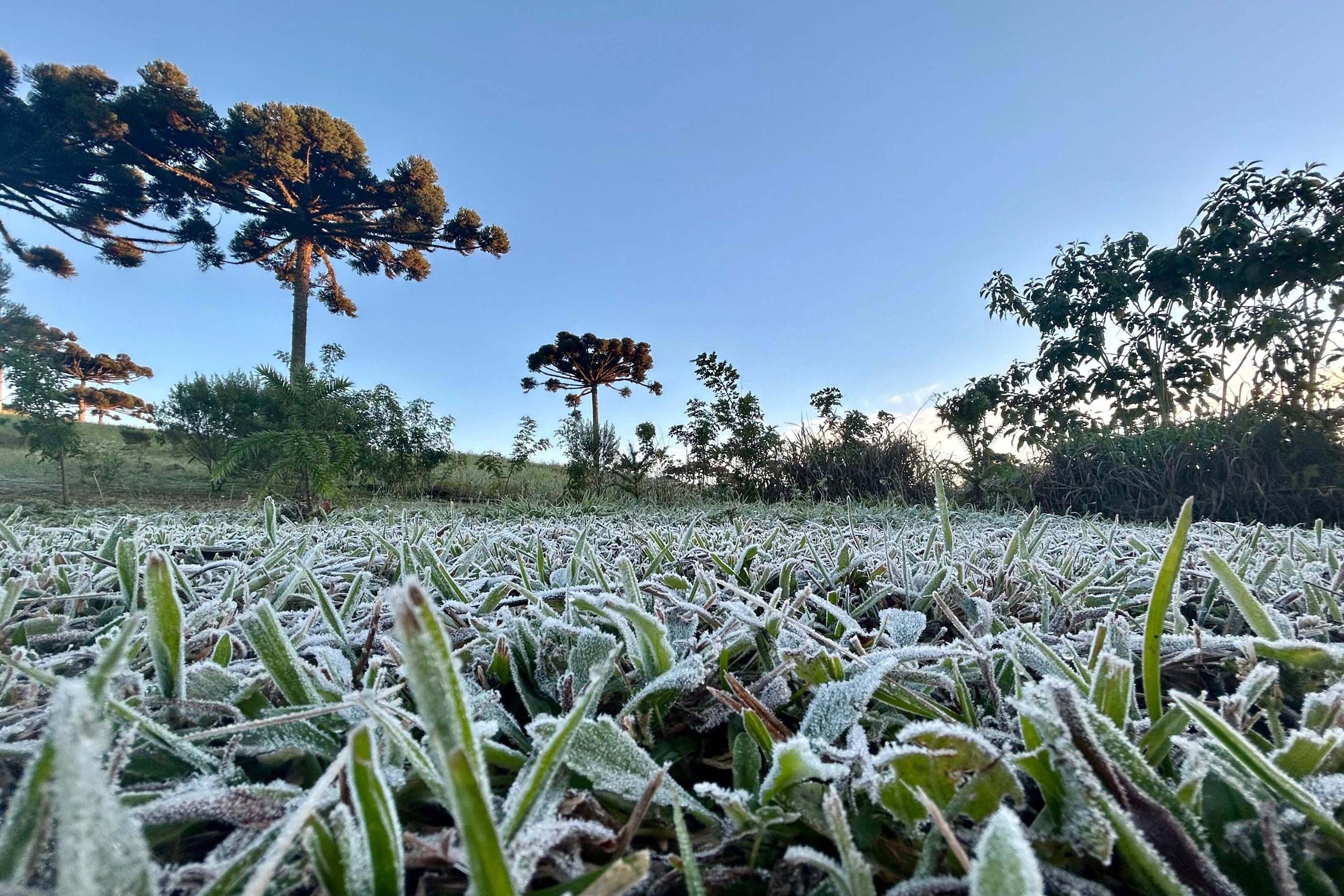 🌡️ Onda de Frio no Paraná: Termômetros Podem Chegar a 0°C na Próxima Semana