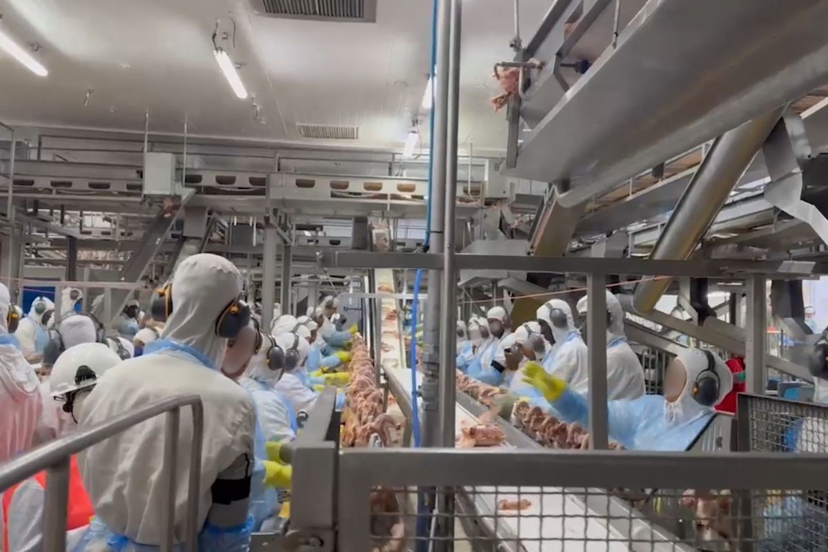 Operação fiscaliza riscos de trabalhadores em frigorífico de Jaguapitã