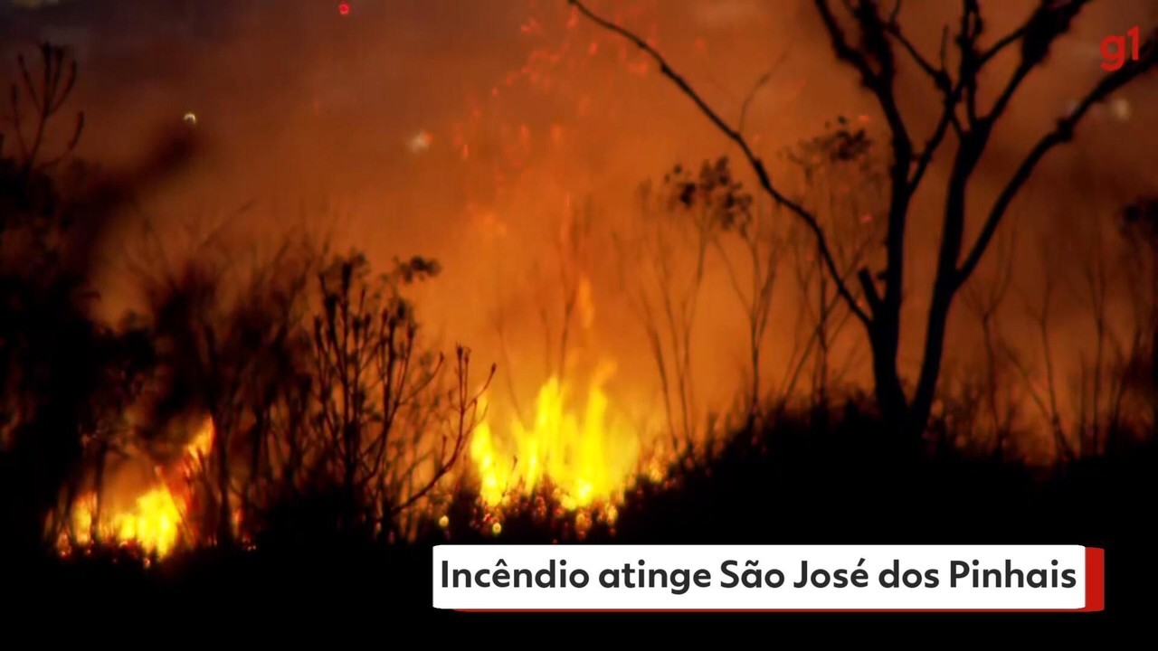 VÍDEO: Incêndio atinge São José dos Pinhais